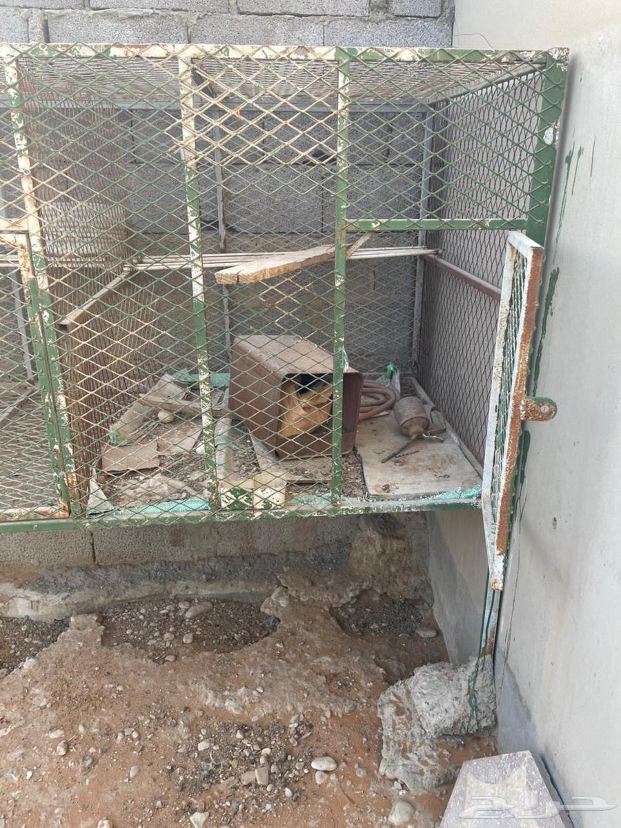 محكر  حديد للبيع الموقع الخرج64382776392835111