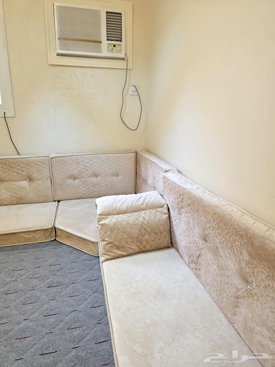 كنب استخدام ست شهور نظيف جدا جدا التواصل خاص او واتس64389460703489112