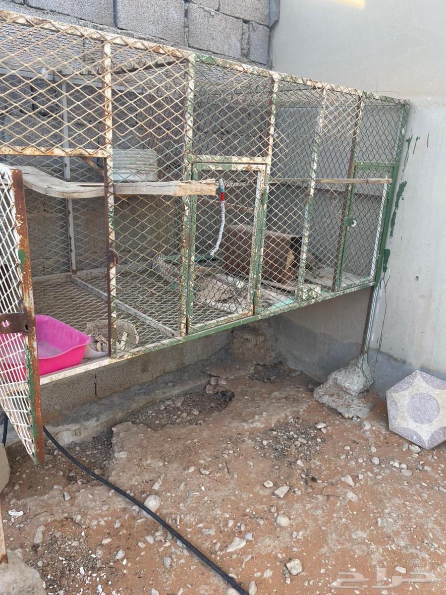 محكر  حديد للبيع الموقع الخرج64382776392835110