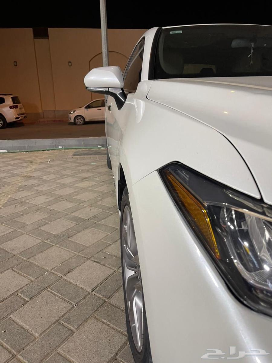 افلون202164522612354433114