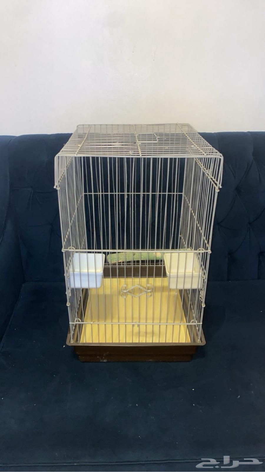 قفص كاسكو مستعمل نضيف64394220602498112