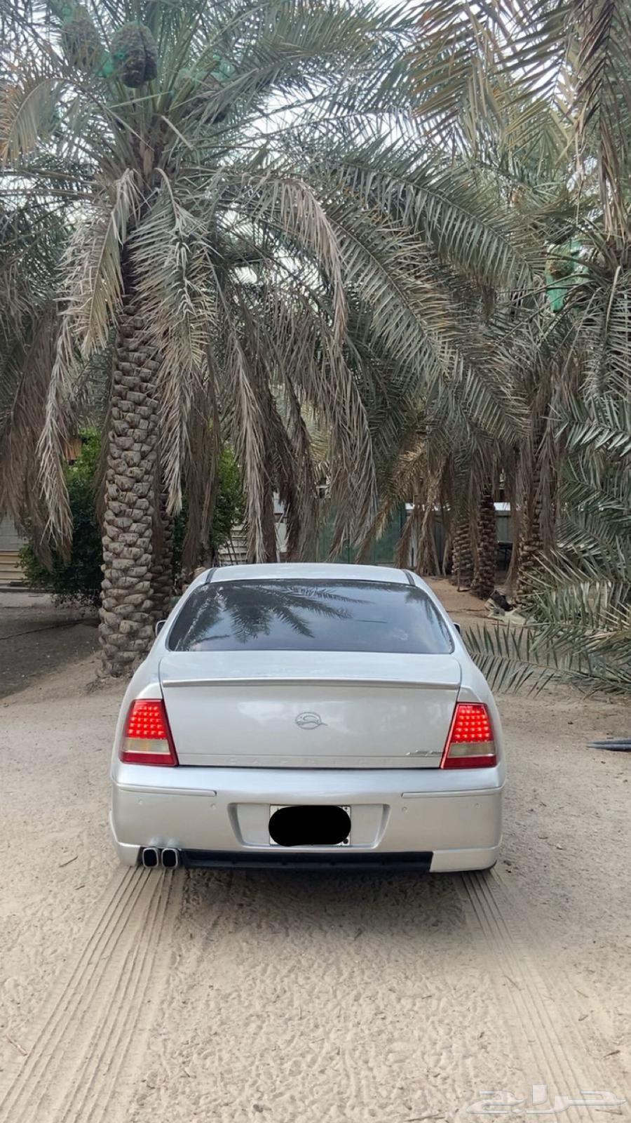 Capris LS 200664538429600515113