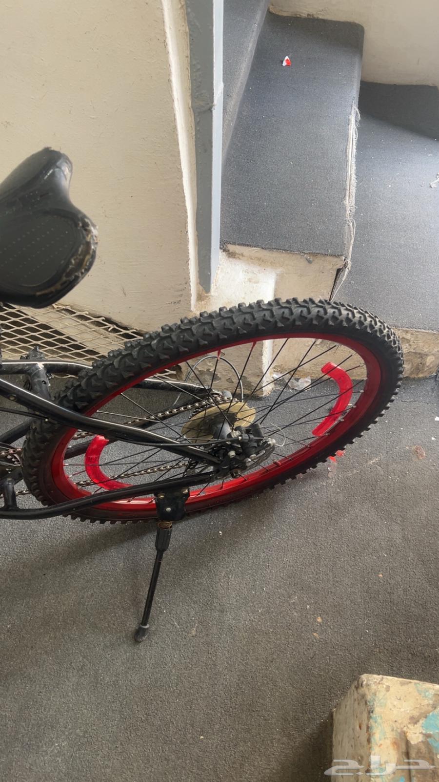 سيكل للبيع   اسوي لوكات على السياكل ب أسعار رمزيه64397894426242112