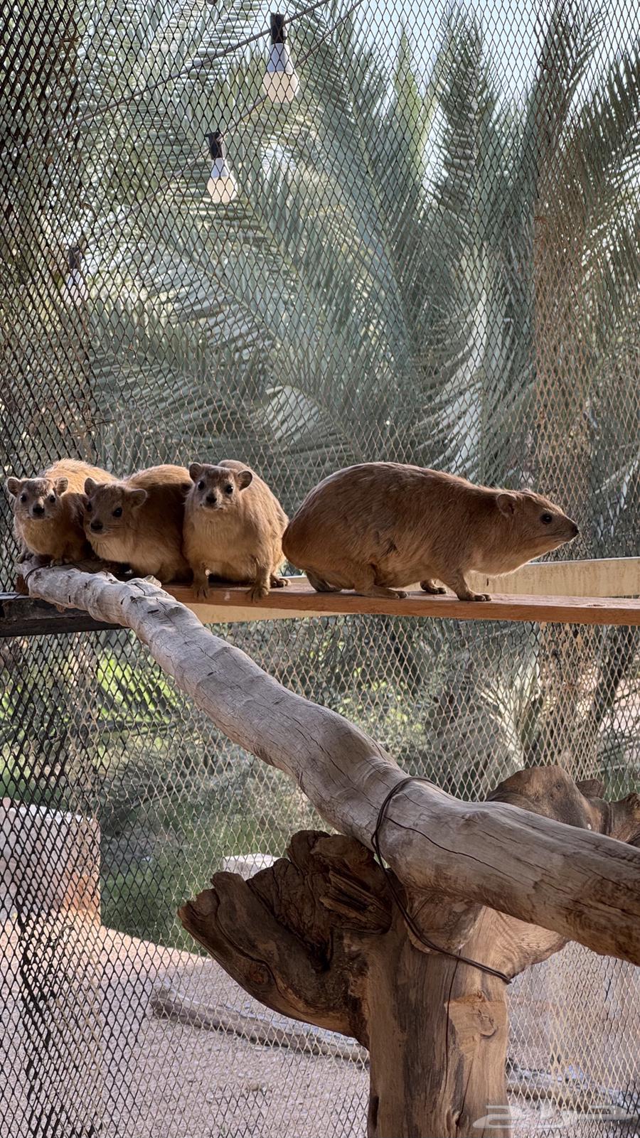 للبيع64399577483394114