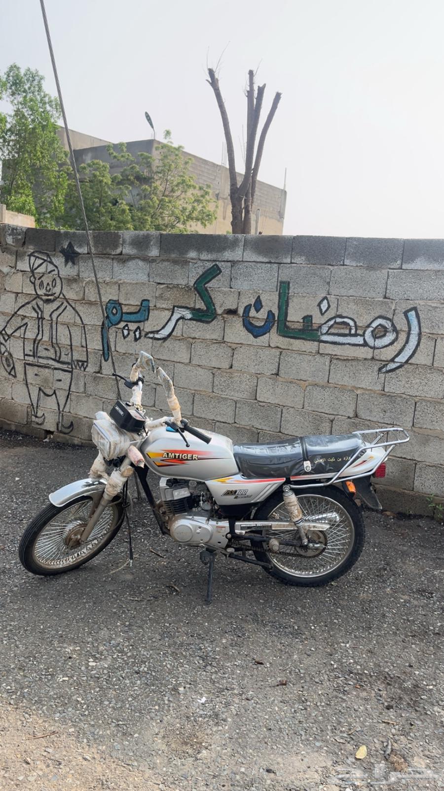 دباب وارد بن ثابت 202564550131954434110