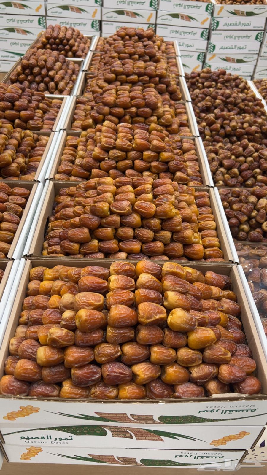 Qassim Dates64397492400769112