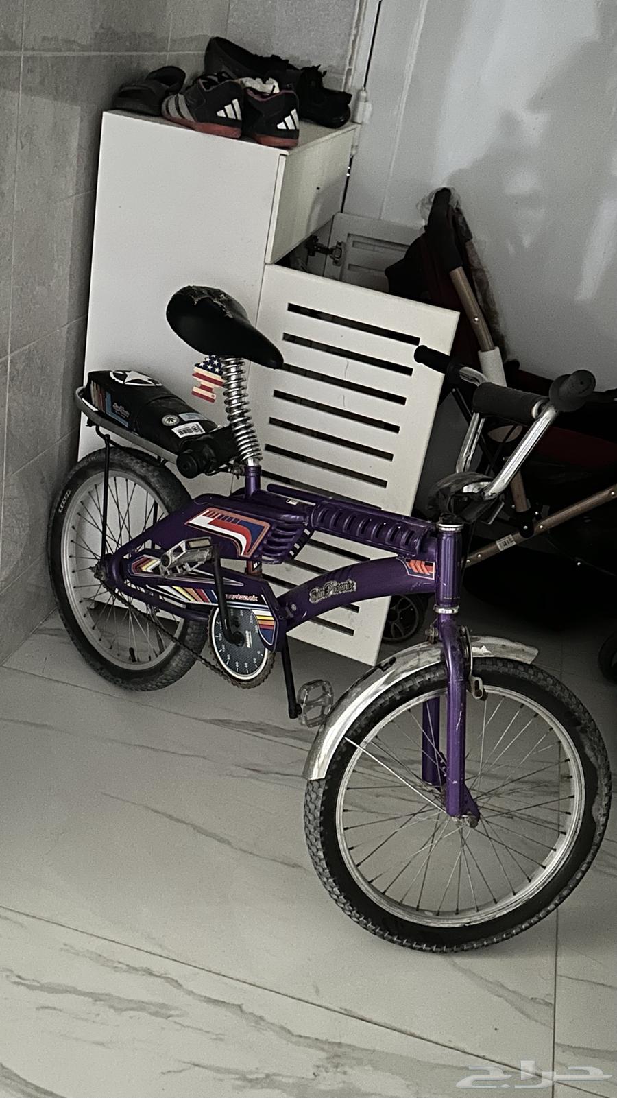 سيكل بنفسجي اندنوسي64401021945857110