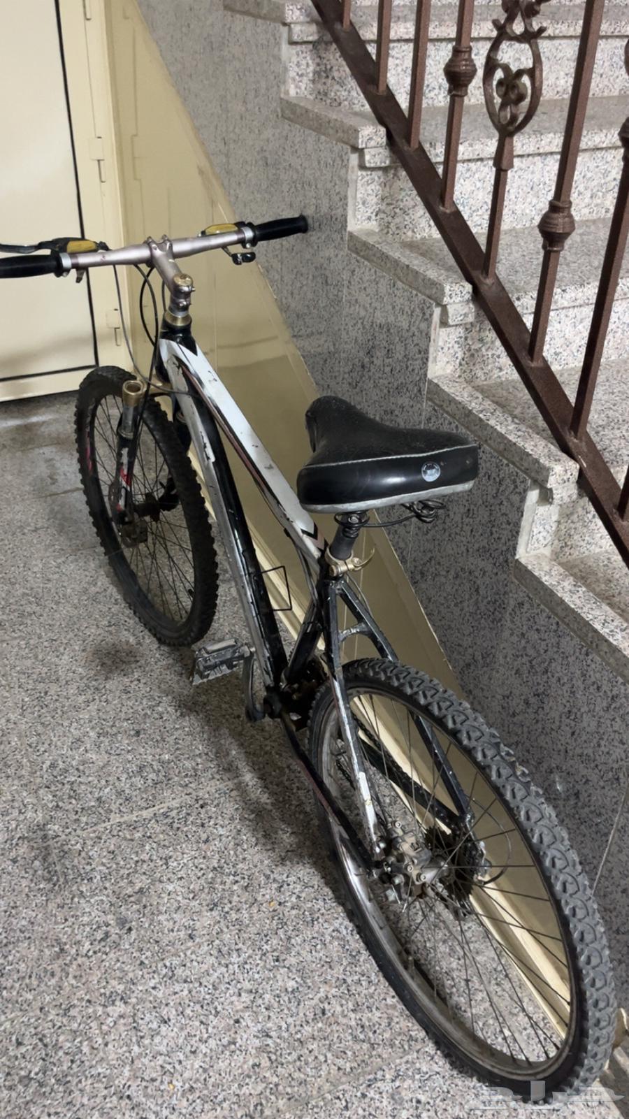 دراجة رياضية مقاس 2664398911729283110