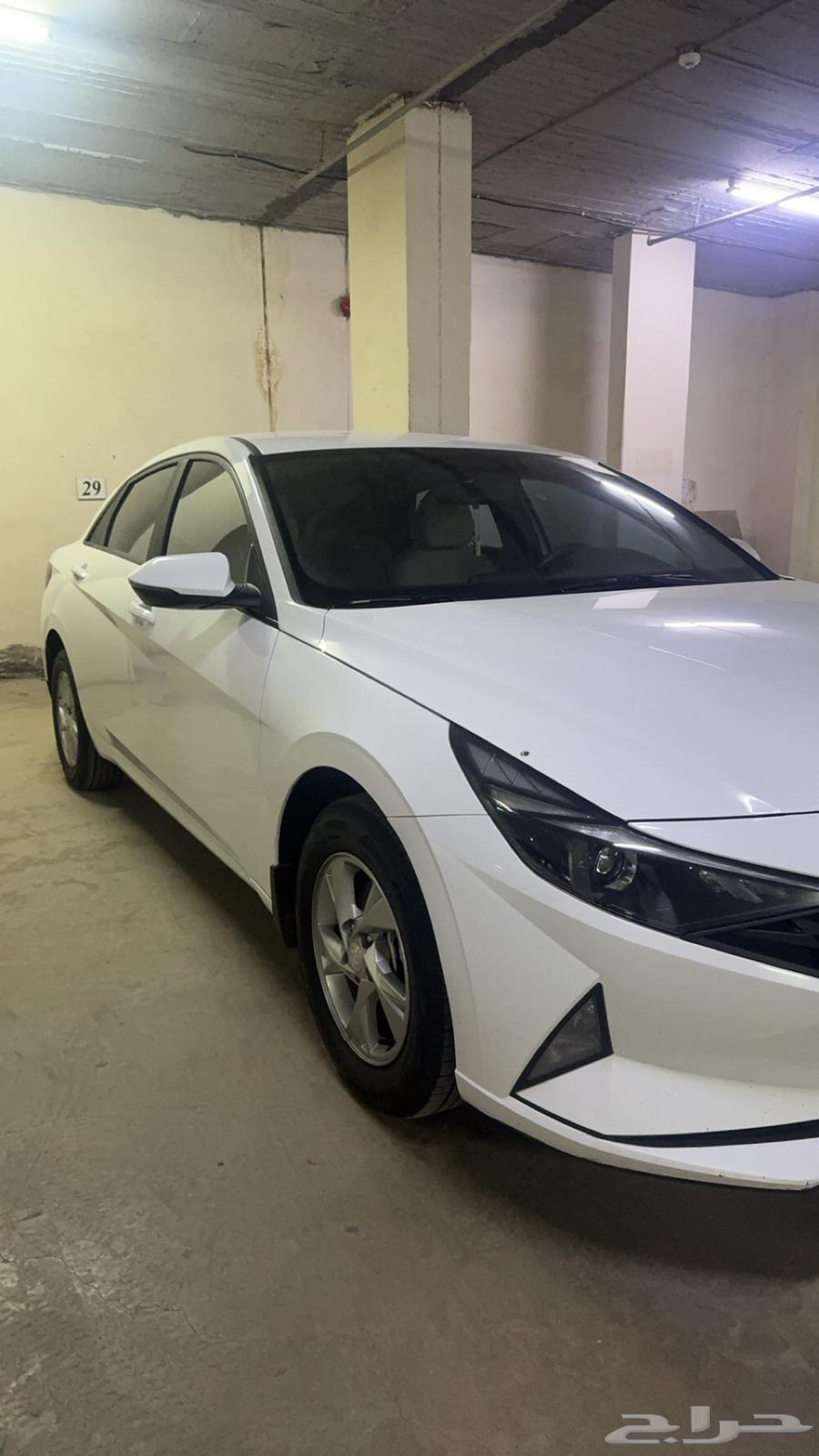 Natra 2027 Standard64544551793539111