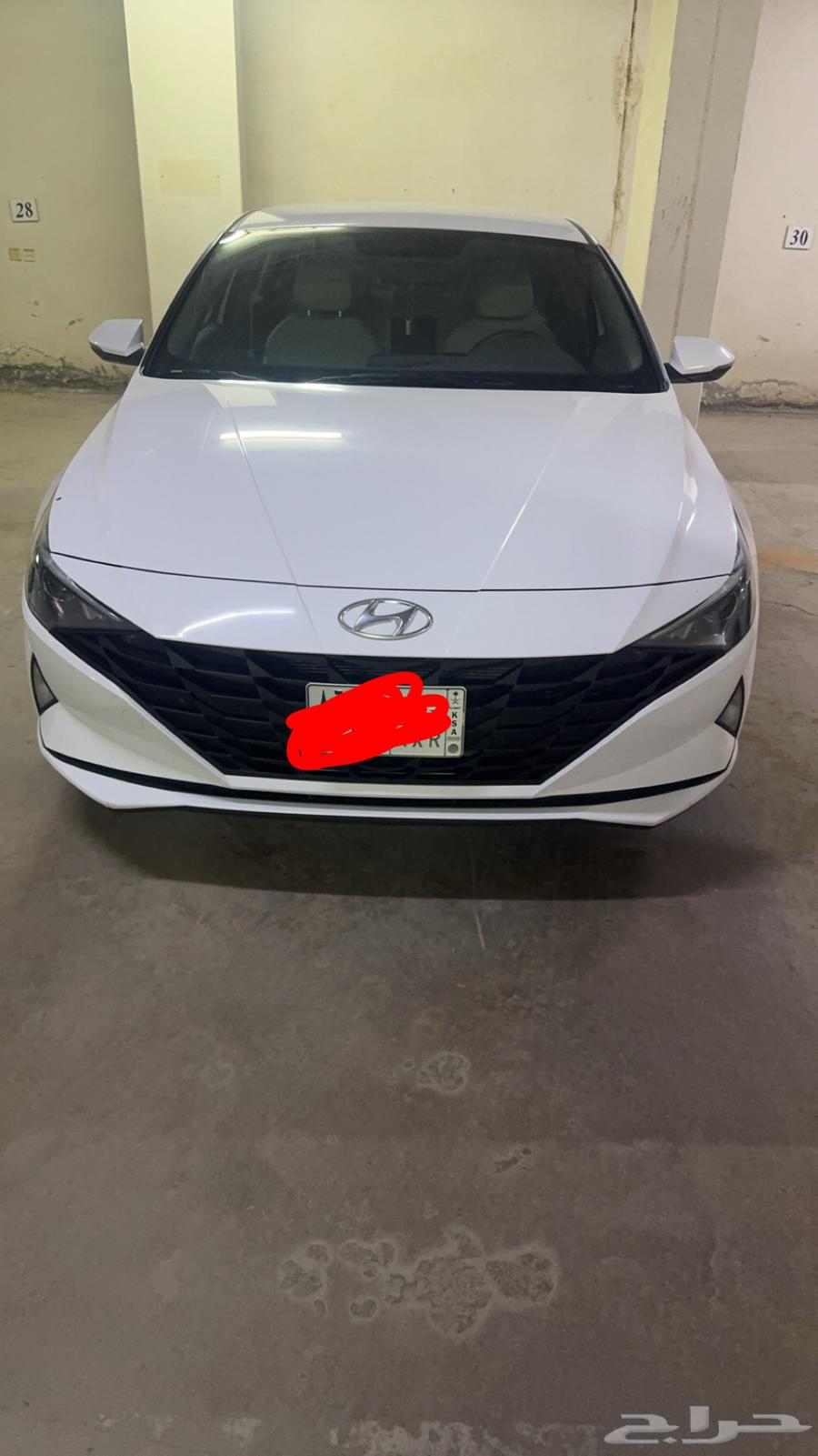 Natra 2027 Standard64544551793539114