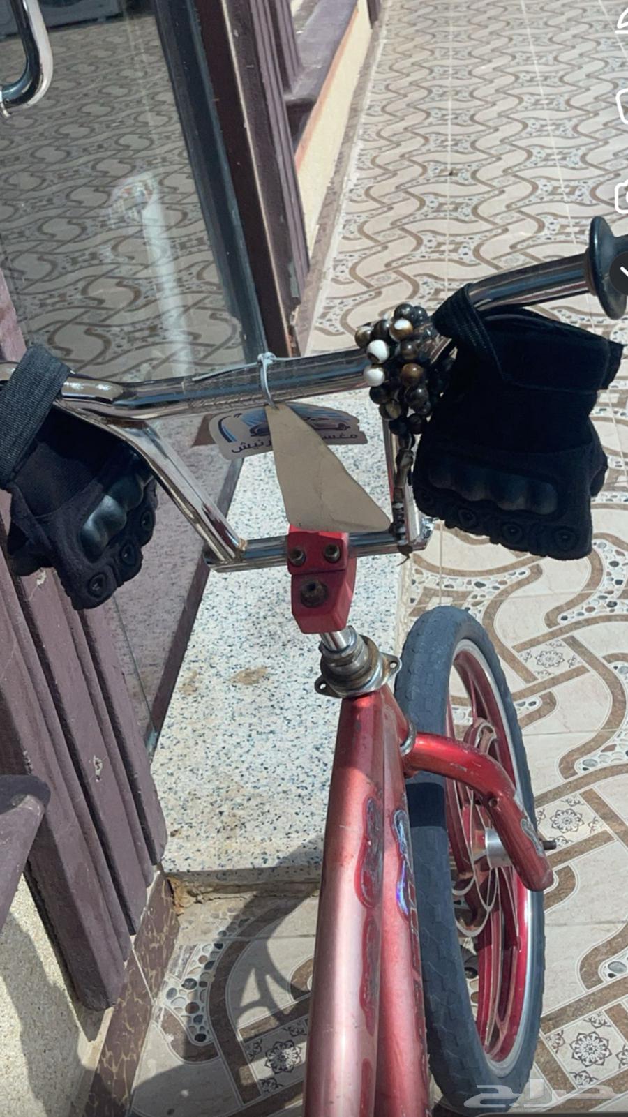 سيكل جديد كوبرا حجم 2064399341115777110