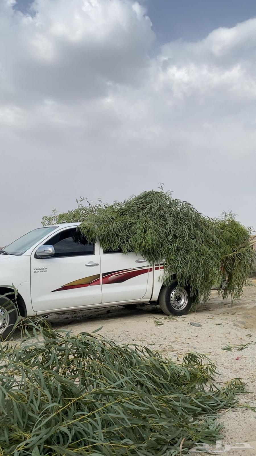 حد 30 لمدة يومين بيع مستعجل64552048092931110