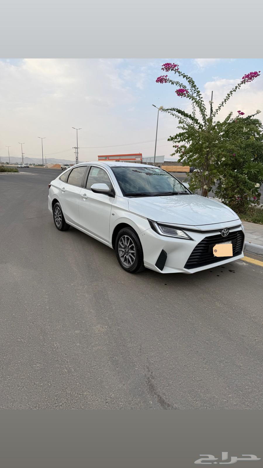 يارس 2024 Y وكالة مشروط مالك واحد64539655883907111