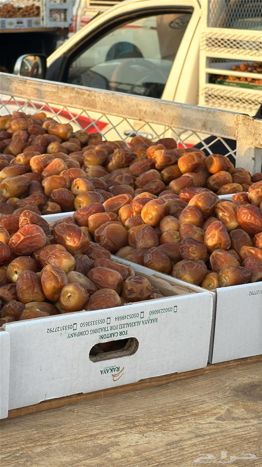 Galaxy Dates First Grade64398409593475110