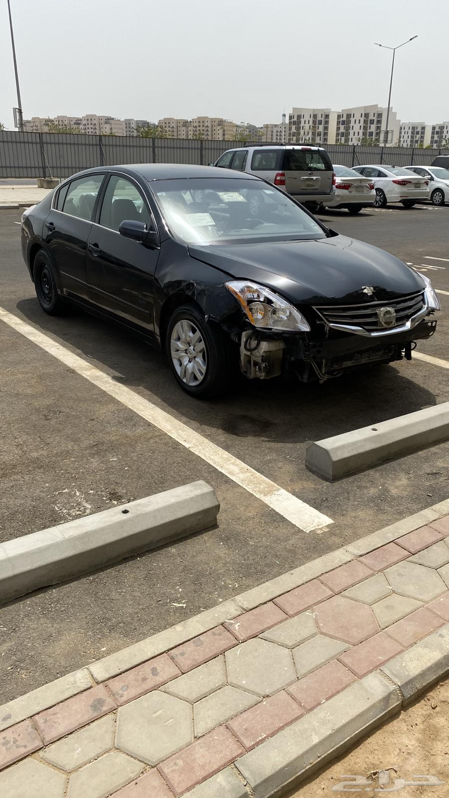 التيما أسود قير عادي 201064538218927105114