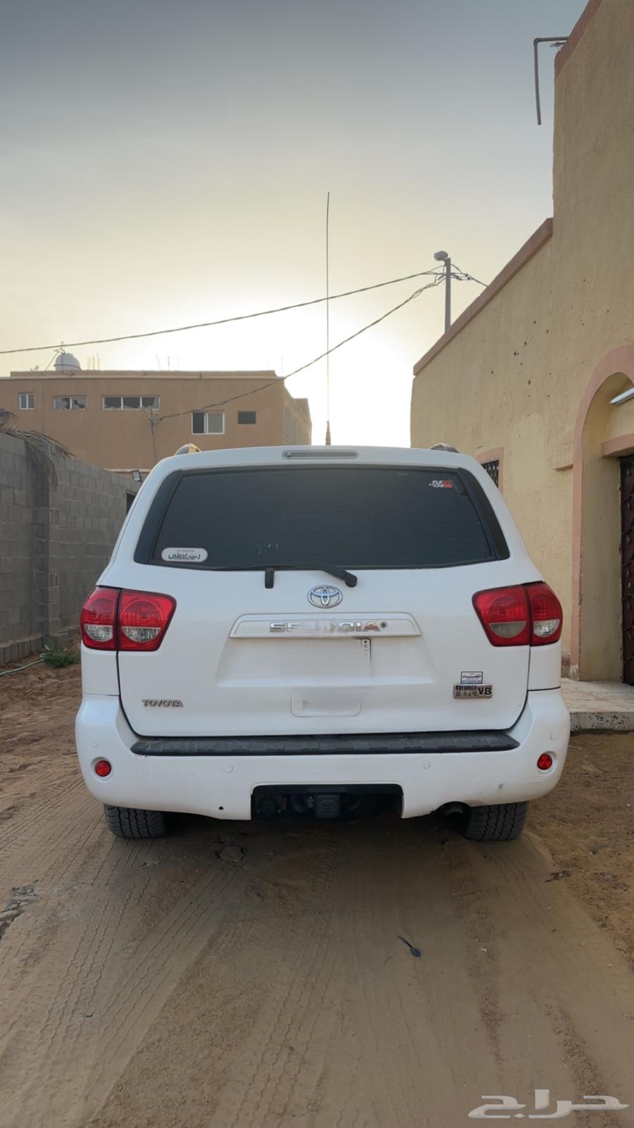 سكويا للبيع 1064551219413762114