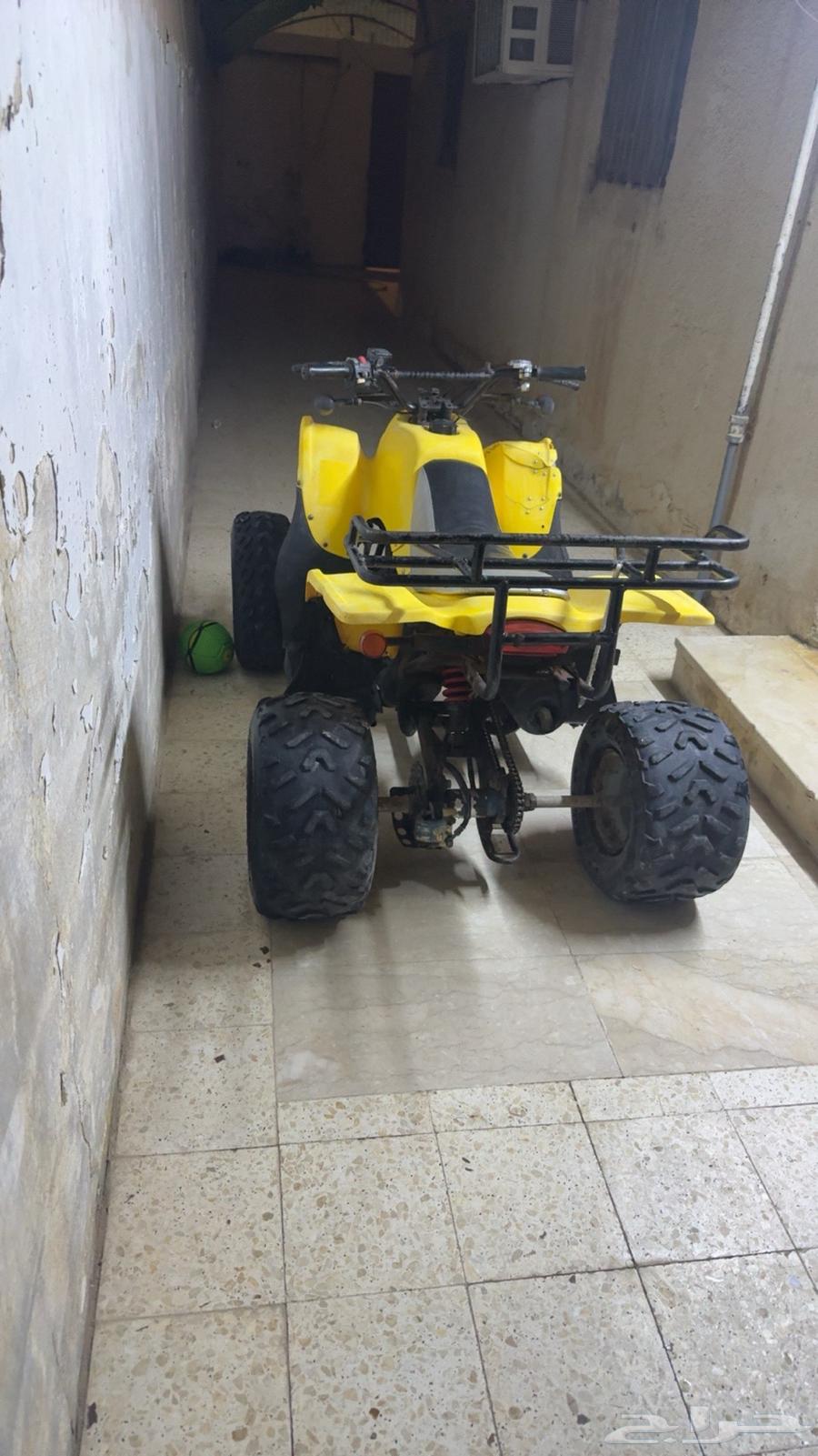 دباب تايواني للبيع مديل 202164551647438467111