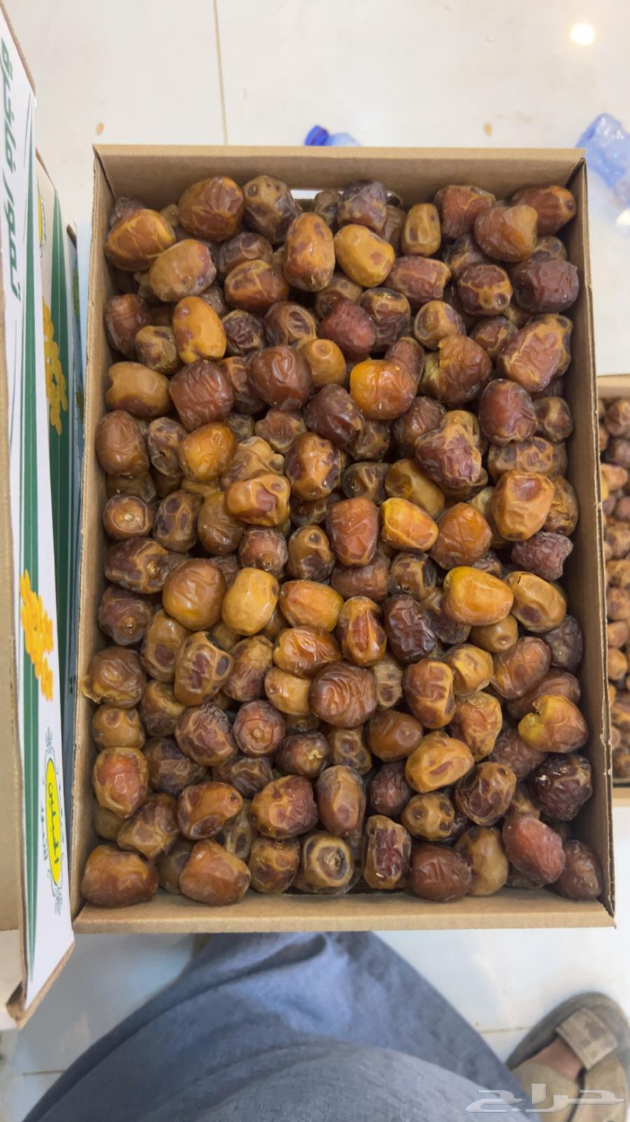 تمر سكري   مفتل   ورشودي   ورطب   وجالكسي64400827700354114