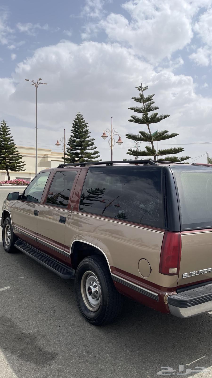 Gams 199864545374605825113