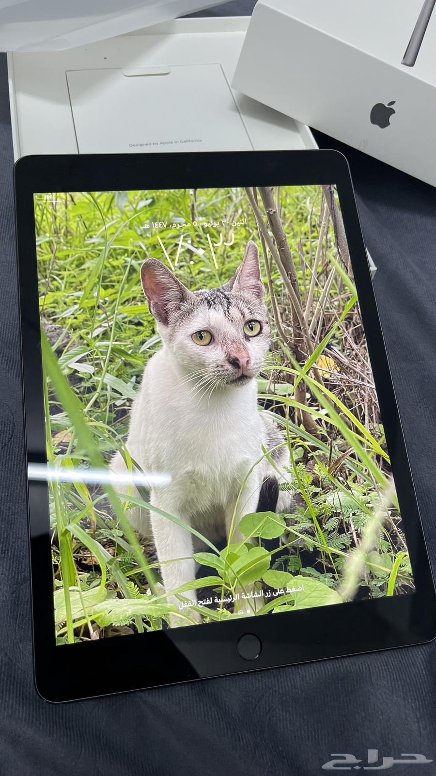 ايباد ايفون64396533920002113