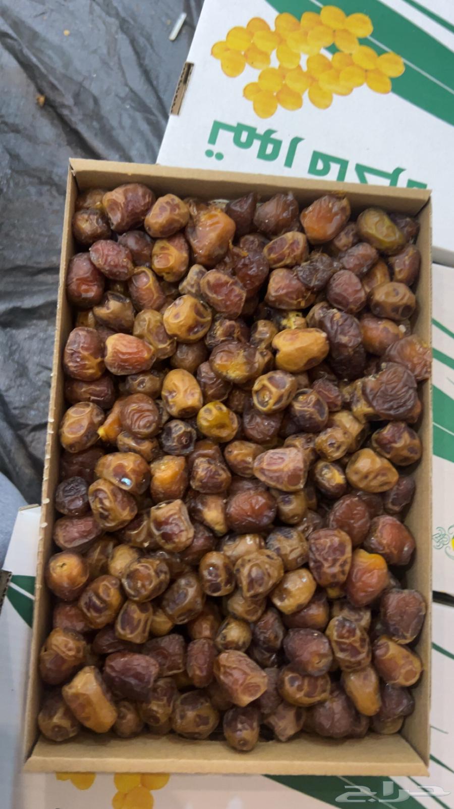 تمر سكري   مفتل   ورشودي   ورطب   وجالكسي64400827700354113