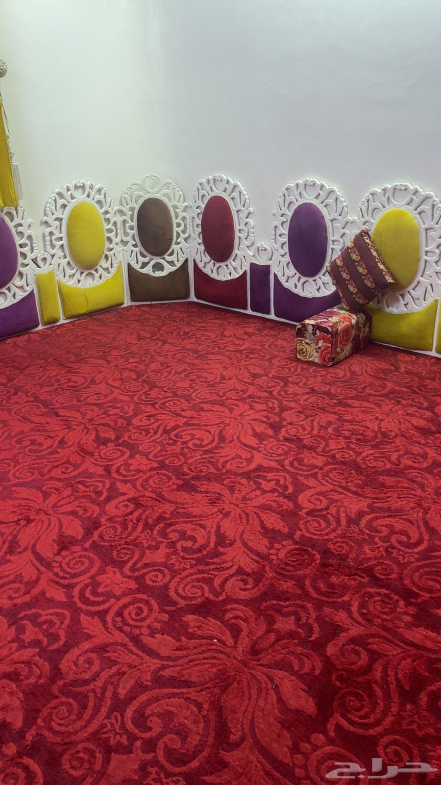 Masand - Carpet - Star64393735577730110