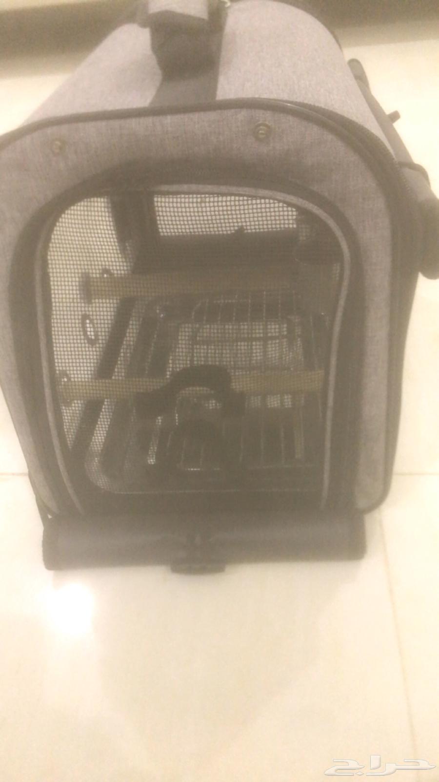 شنطه نقل كاسكو وحصانه64393155817473112