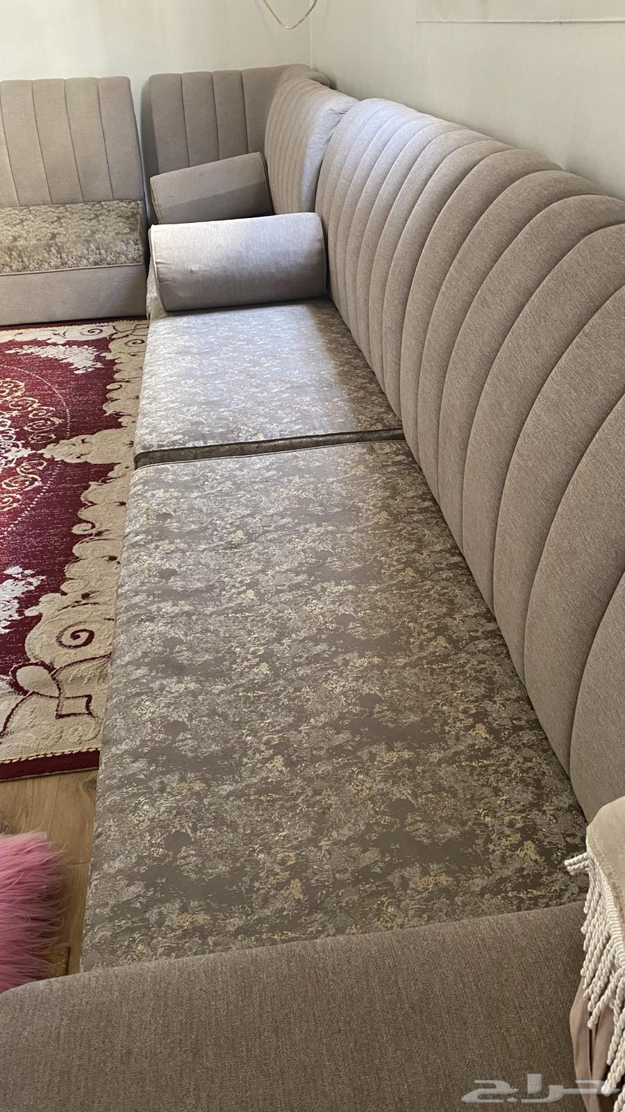 كنب نضيف مافيه عيوب 250 ريال بيع مستعجل بدون الفرشه64398743842305111