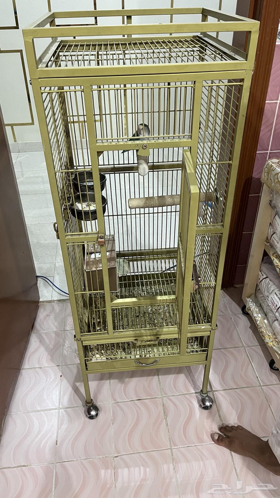 قفص كبير يصلح لكل الطيور الي عندك و نظيف من داخل و الخارج64400272634369112