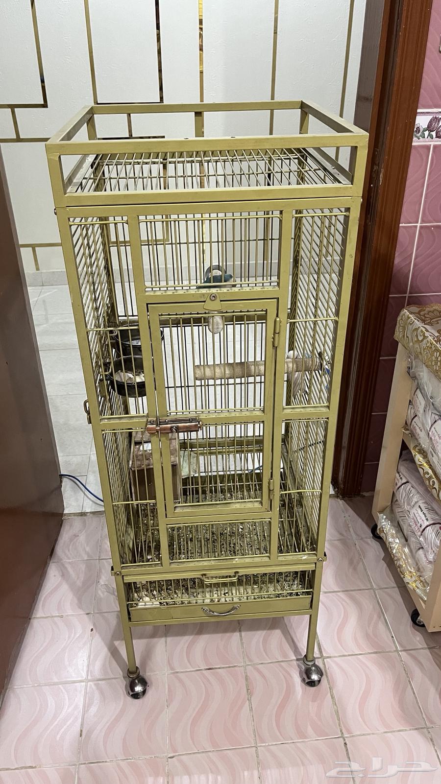 قفص كبير يصلح لكل الطيور الي عندك و نظيف من داخل و الخارج64400272634369110