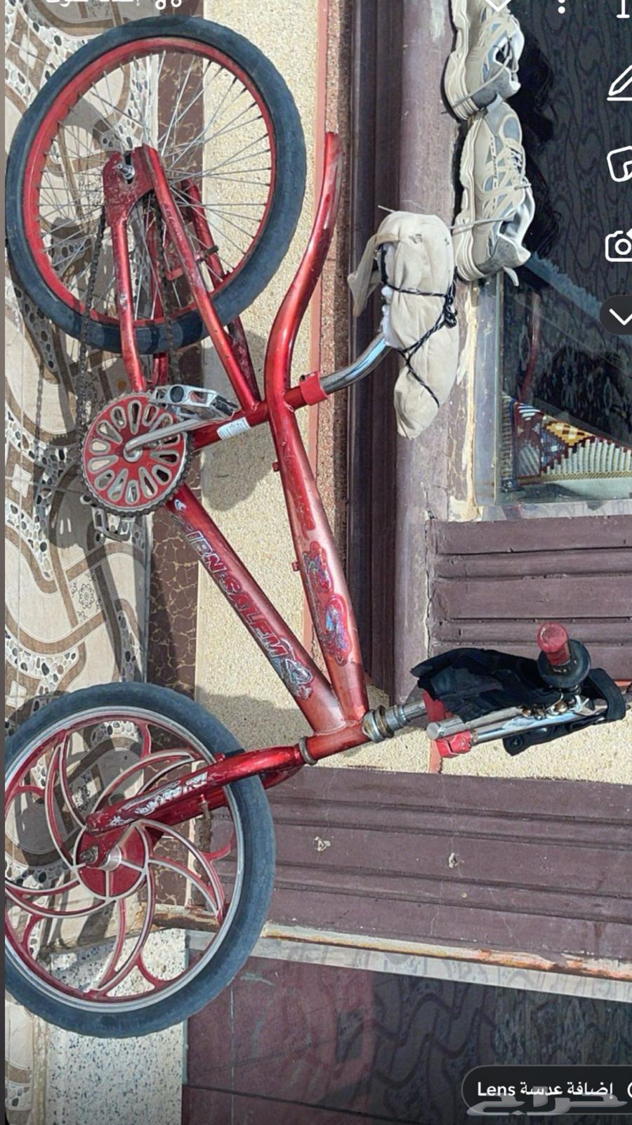 سيكل جديد كوبرا حجم 2064399341115777111