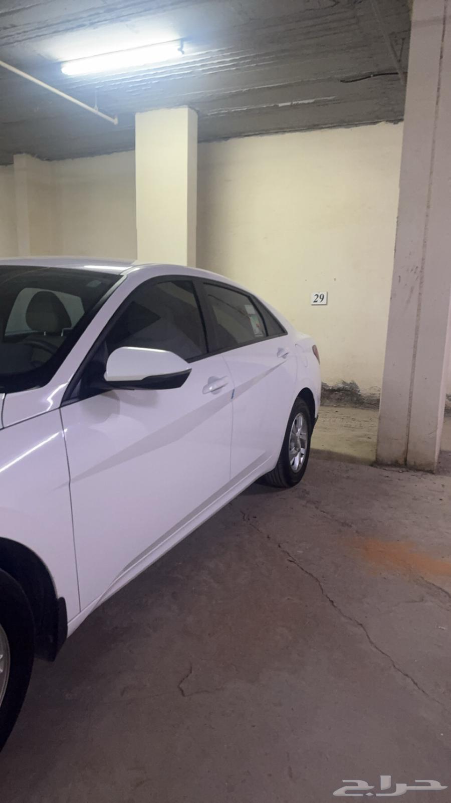 Natra 2027 Standard64544551793539113