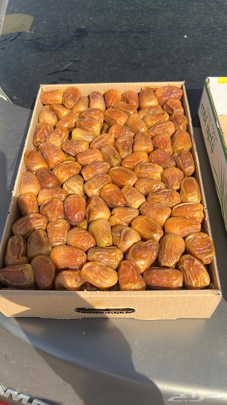 Qassim Dates64397492400769113