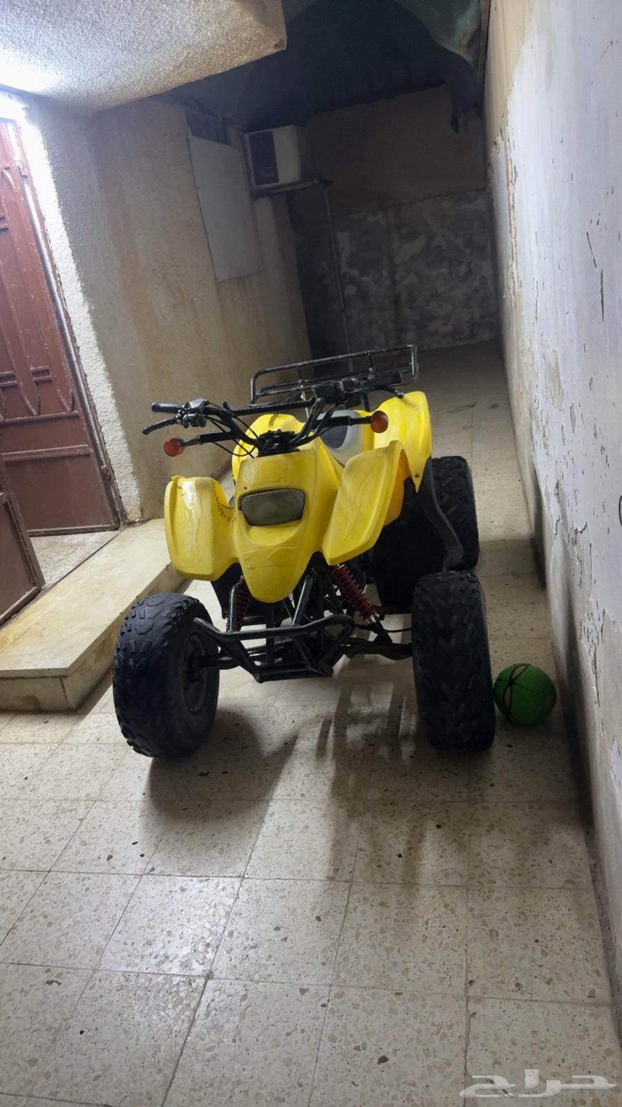 دباب تايواني للبيع مديل 202164551647438467112