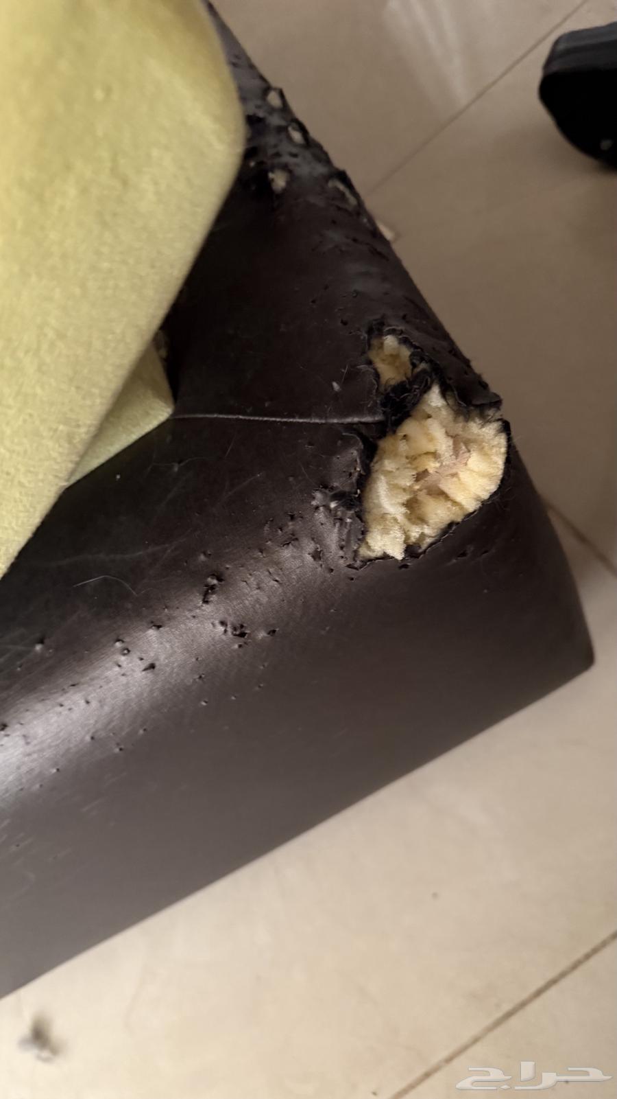 كنب حرف L مستعمل64397575696514112