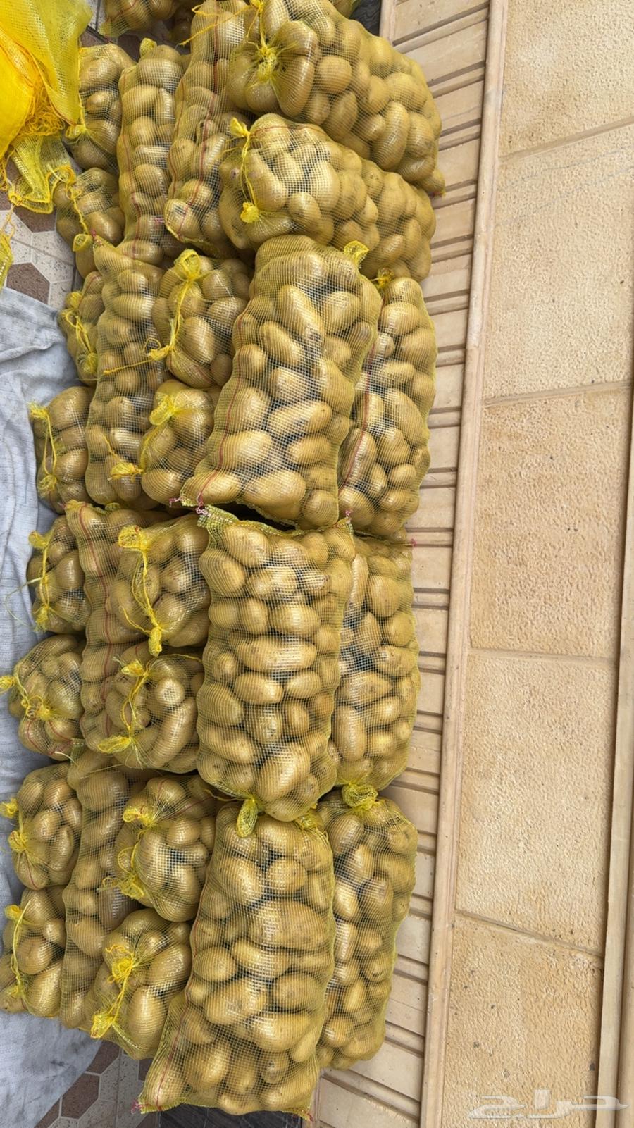 بطاطس كيس 10 كيلو عندي 350 كيس64401133357571110