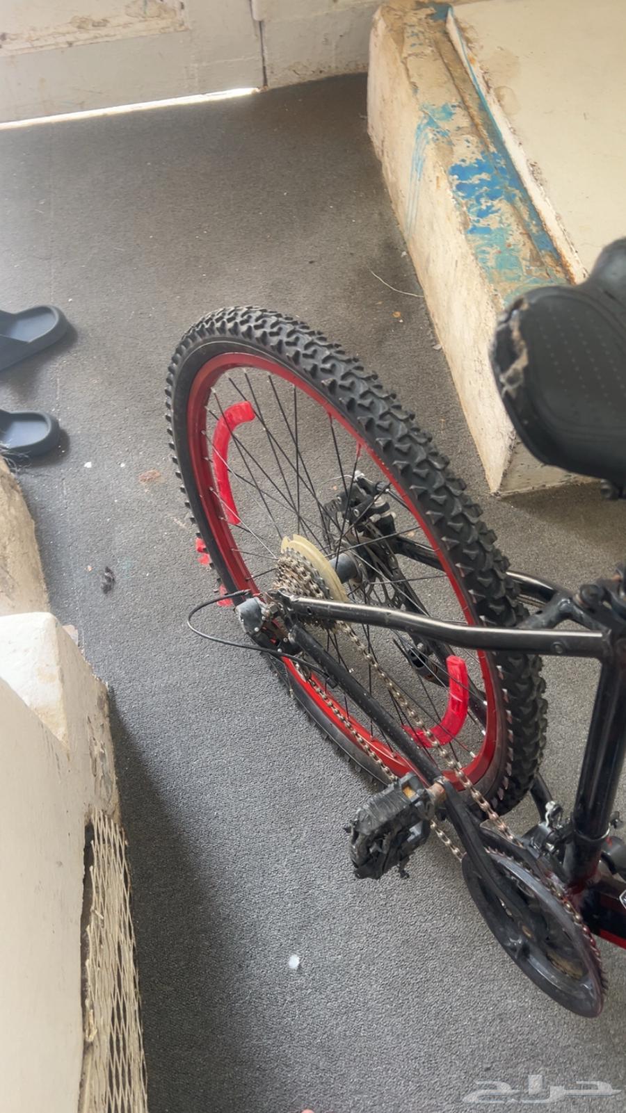 سيكل للبيع   اسوي لوكات على السياكل ب أسعار رمزيه64397894426242110