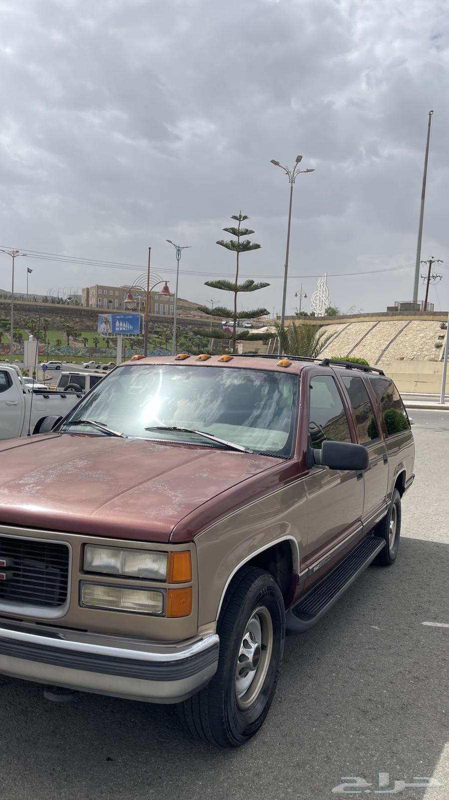 Gams 199864545374605825111