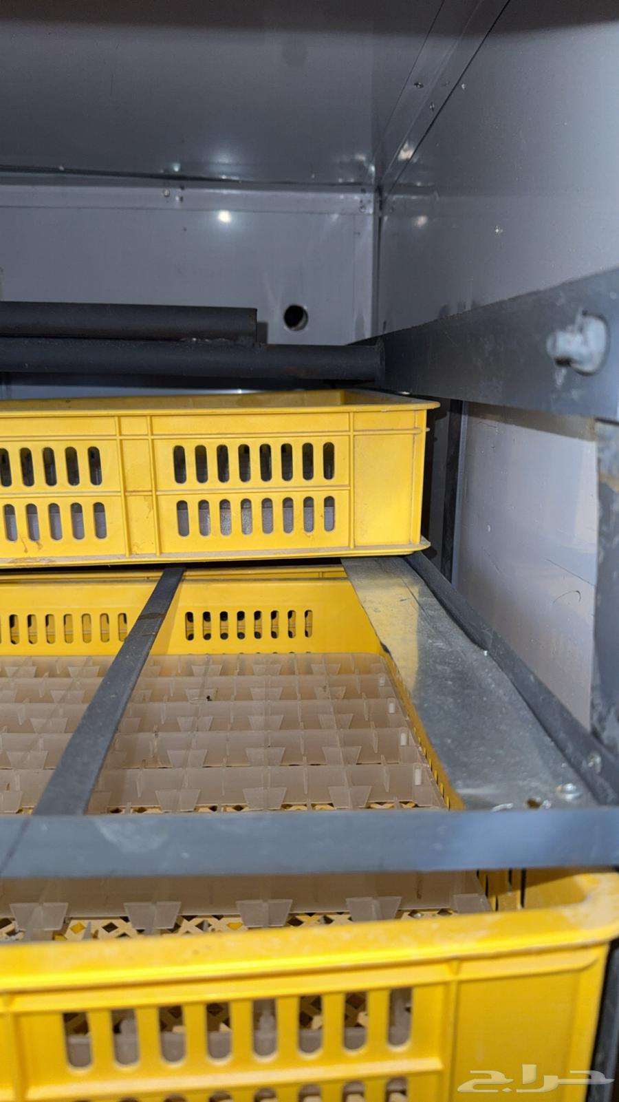 فقاسه بيض تماتيك للبيع جديد64397157921666112