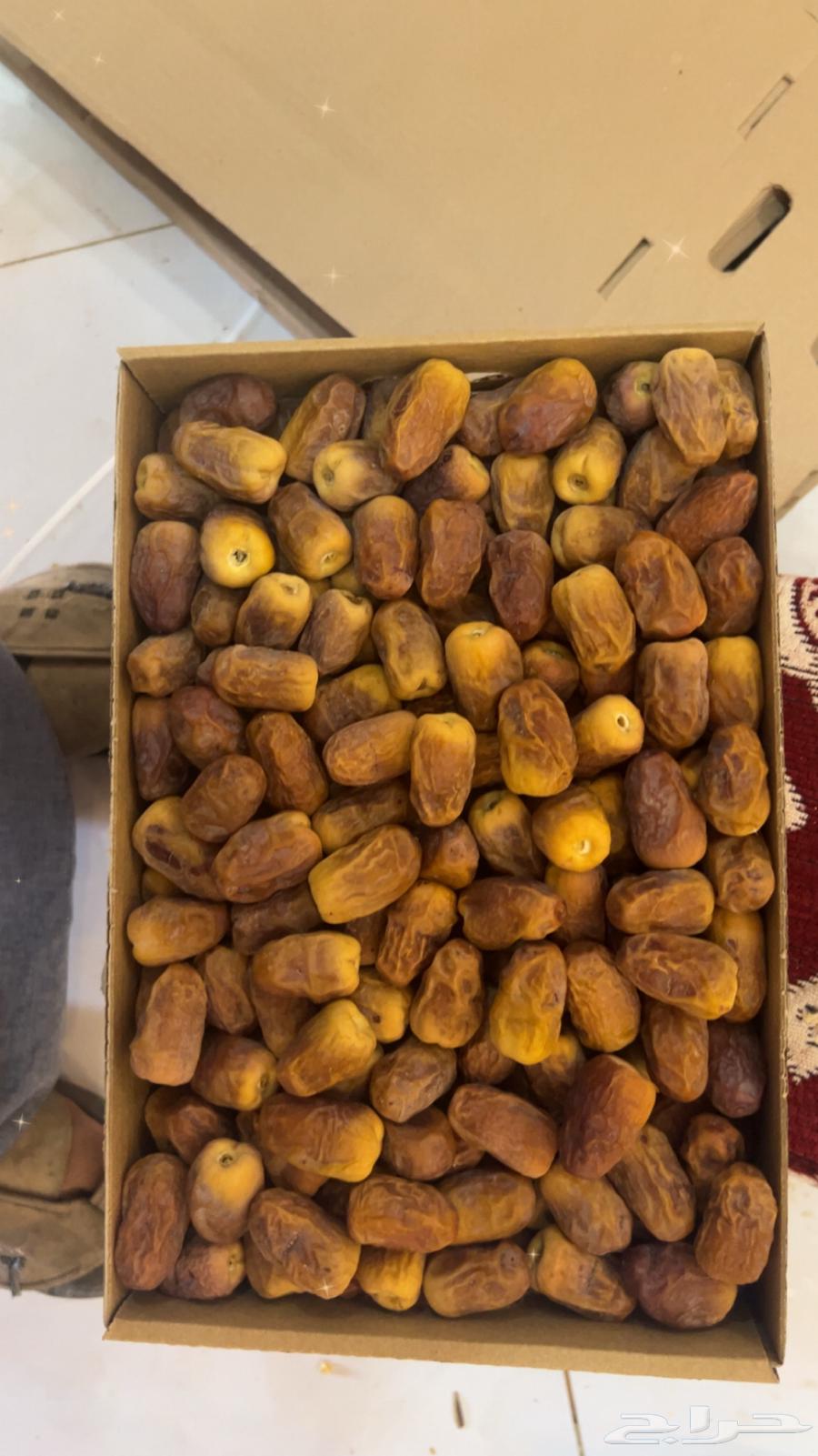 تمر سكري   مفتل   ورشودي   ورطب   وجالكسي64400827700354111