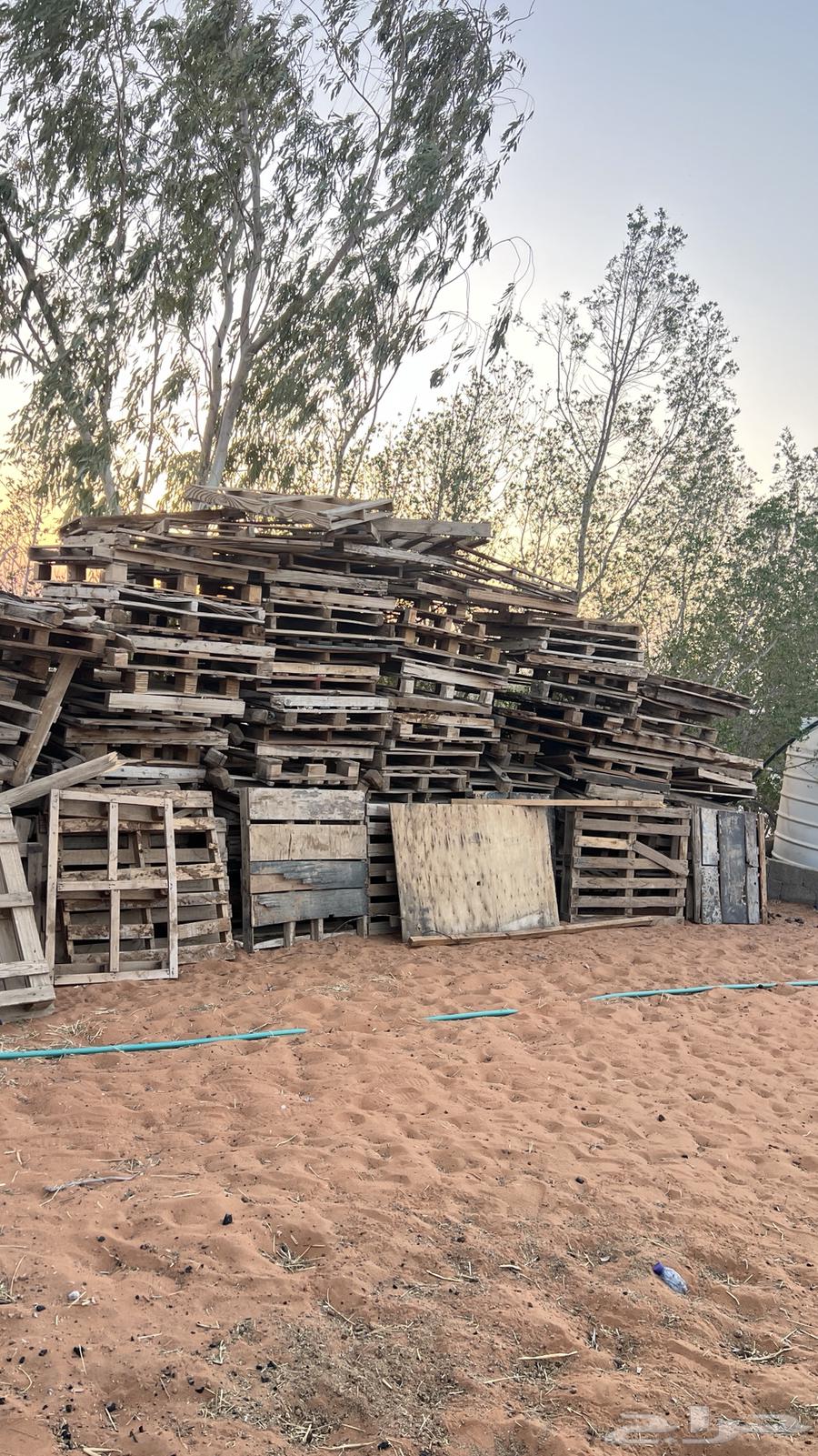 طبليات خشب للبيع64392964395265111