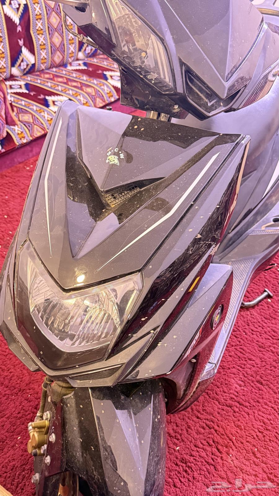 MCW Duck Tank64548056131458111