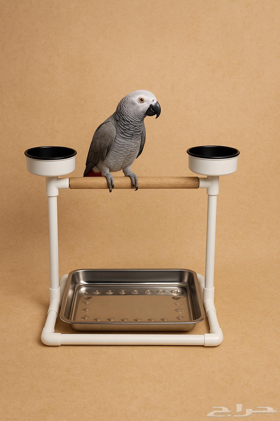 استاند جميع الطيور64392676460290110