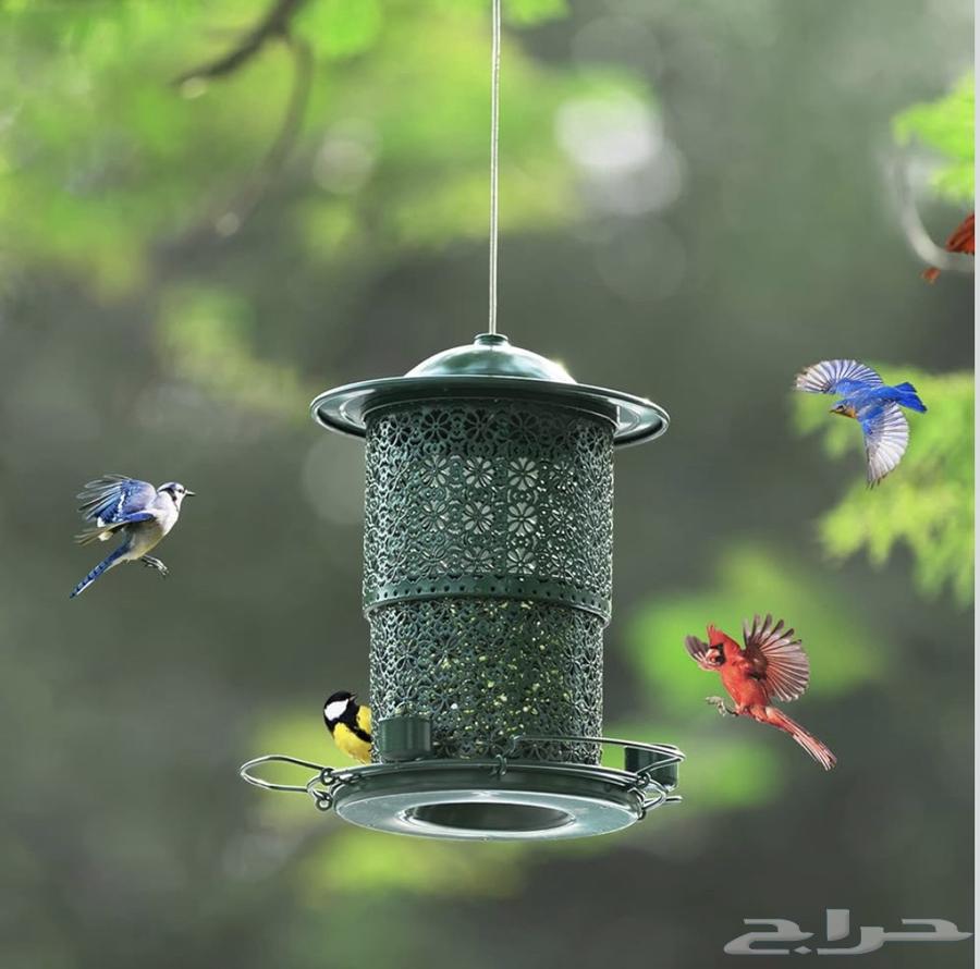 مغذية طيور للحدائق جديد64400148031361110