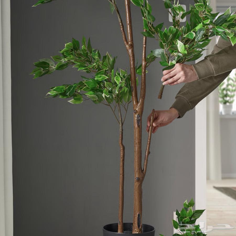 Artificial tree from IKEA - New64397228272387111