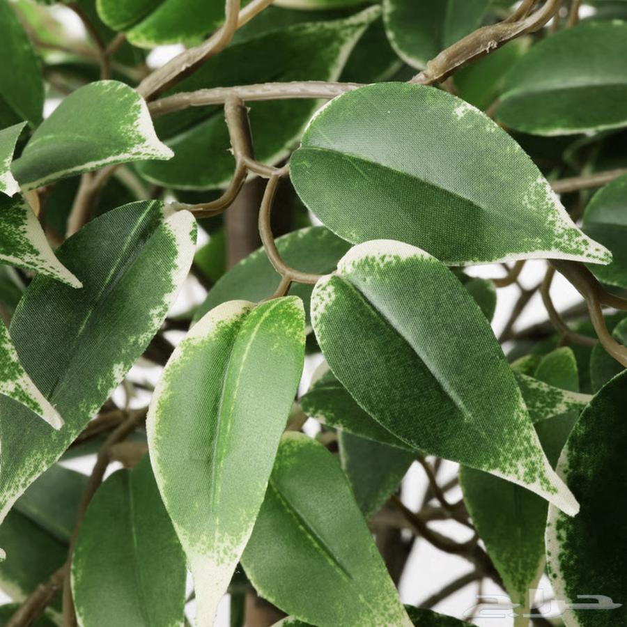 Artificial tree from IKEA - New64397228272387112