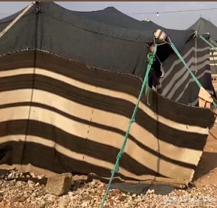 قطبه بيت شعر64400300778369110