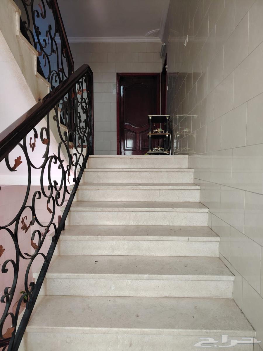 عماره للبيع في المدينه المنوره بجوار الاستاذ الرياضي63614086956035112