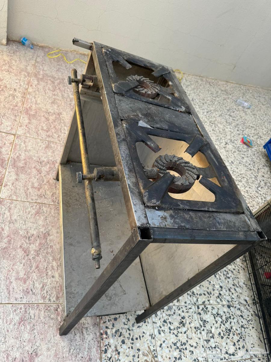 قز 4 عيون وقز عينين64395213637633111