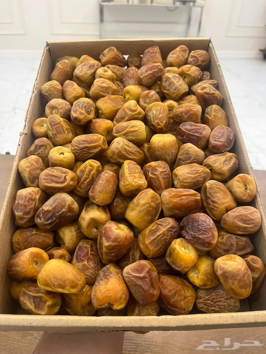 Tamr Mafatil64397977469059111